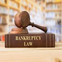 Evergreen City Bankruptcy Solutions image 1
